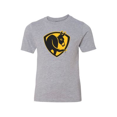 Youth Next Level T-Shirt